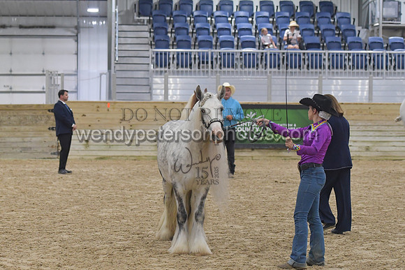 018_6387-Do_not_copy_PROOF