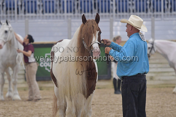 018_6395-Do_not_copy_PROOF