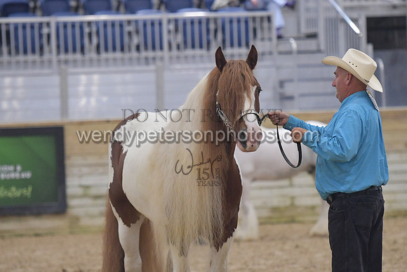 018_6393-Do_not_copy_PROOF