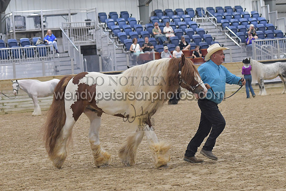 018_6397-Do_not_copy_PROOF
