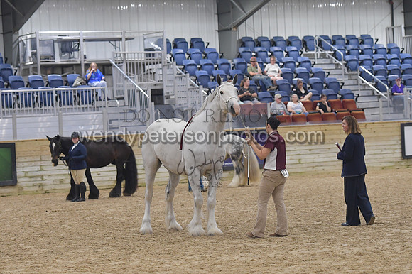 018_6400-Do_not_copy_PROOF