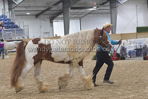 018_6398-Do_not_copy_PROOF