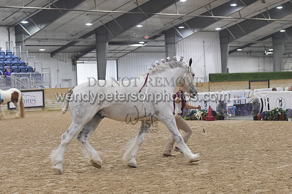 018_6405-Do_not_copy_PROOF