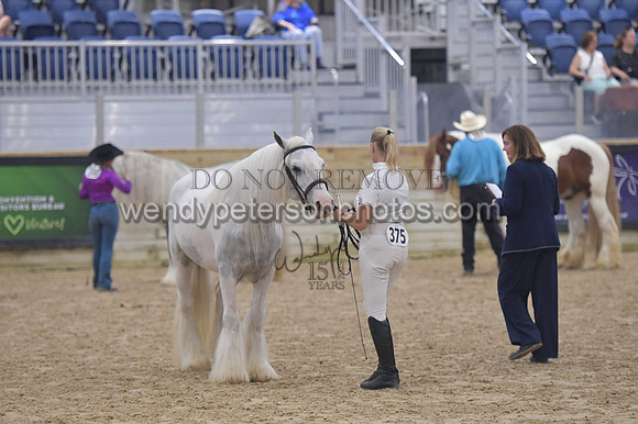 018_6408-Do_not_copy_PROOF