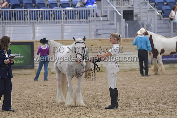 018_6409-Do_not_copy_PROOF