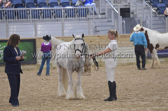 018_6410-Do_not_copy_PROOF