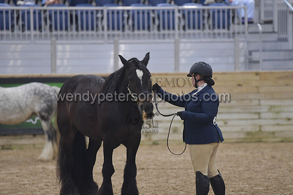 018_6418-Do_not_copy_PROOF