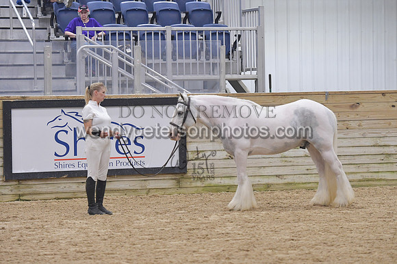 018_6423-Do_not_copy_PROOF