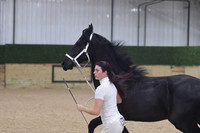 022 Friesian In Hand 2- All