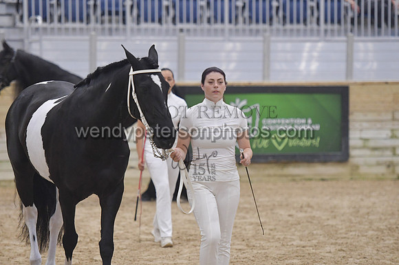 020_6511-Do_not_copy_PROOF