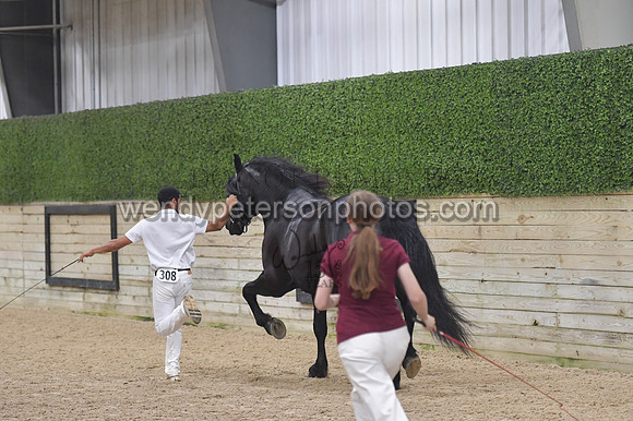 020_6510-Do_not_copy_PROOF
