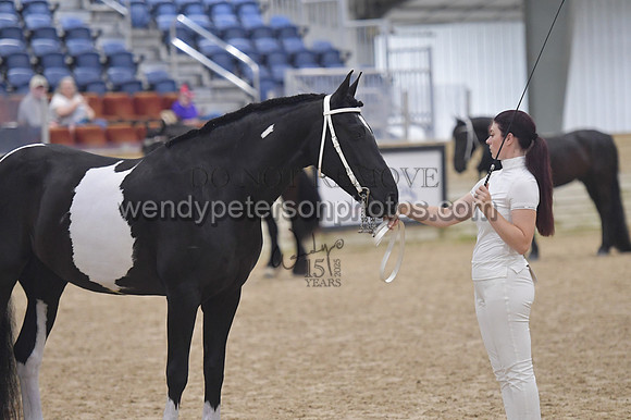 020_6513-Do_not_copy_PROOF