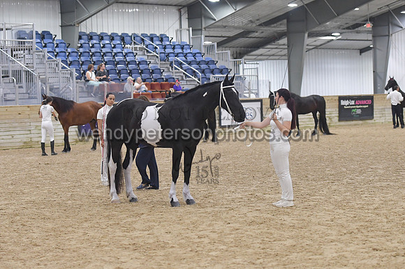 020_6512-Do_not_copy_PROOF