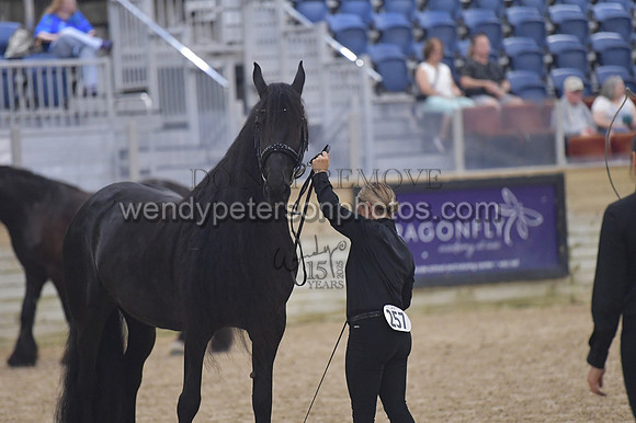 020_6518-Do_not_copy_PROOF