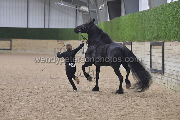 020_6524-Do_not_copy_PROOF