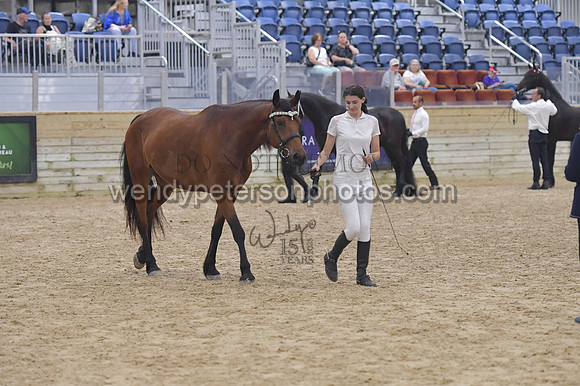 020_6527-Do_not_copy_PROOF