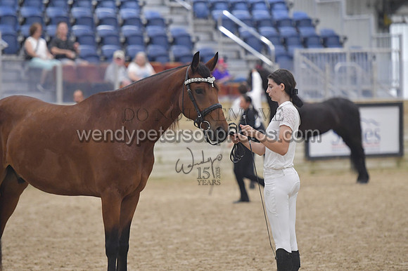 020_6530-Do_not_copy_PROOF