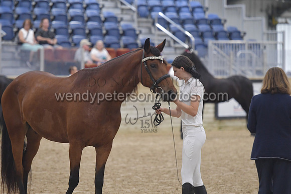 020_6528-Do_not_copy_PROOF