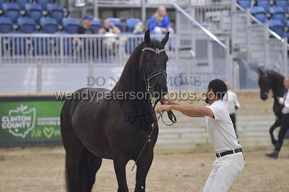 020_6535-Do_not_copy_PROOF
