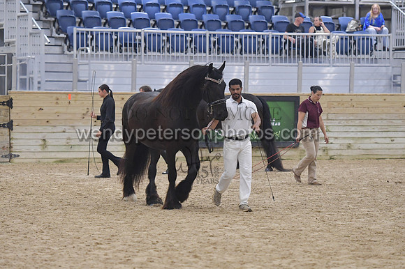 020_6534-Do_not_copy_PROOF