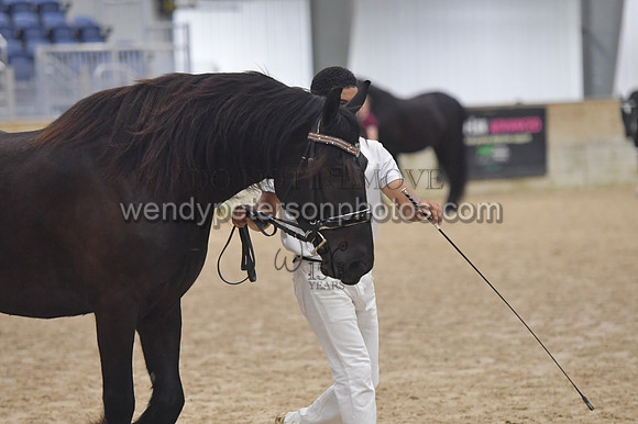 020_6540-Do_not_copy_PROOF