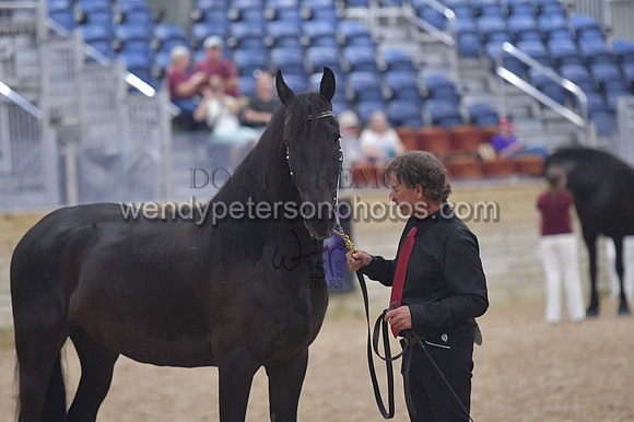 020_6545-Do_not_copy_PROOF