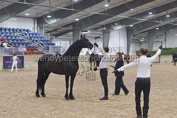020_6550-Do_not_copy_PROOF