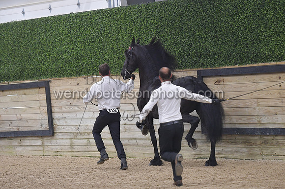 020_6558-Do_not_copy_PROOF