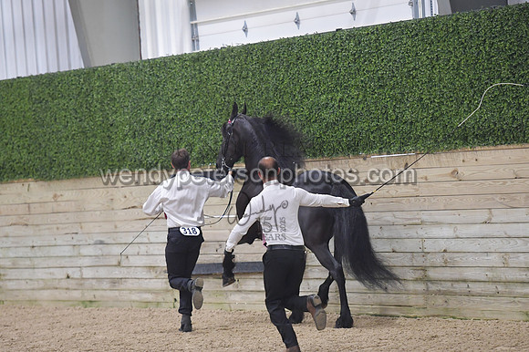 020_6559-Do_not_copy_PROOF