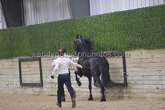 020_6560-Do_not_copy_PROOF