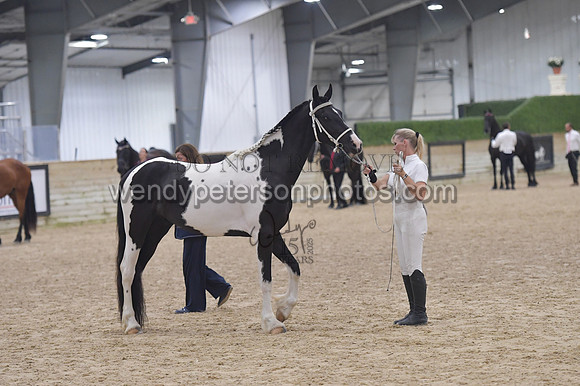 020_6564-Do_not_copy_PROOF
