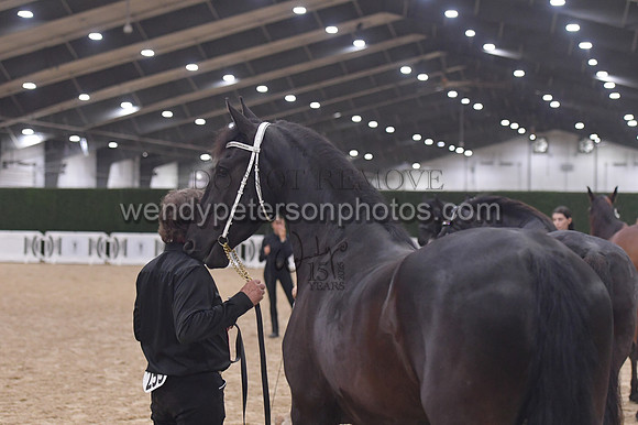 020_6576-Do_not_copy_PROOF