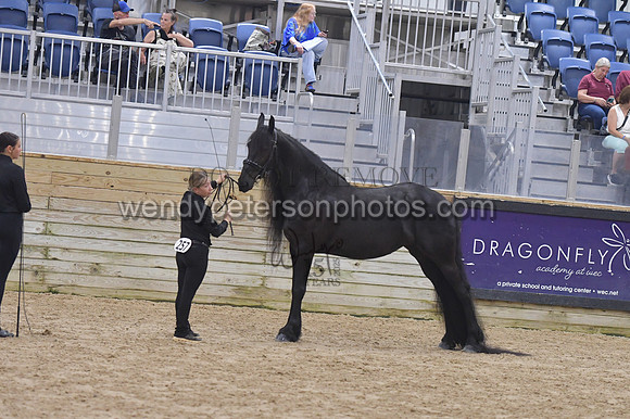 020_6575-Do_not_copy_PROOF