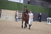 020 Part Bred Friesian 3+