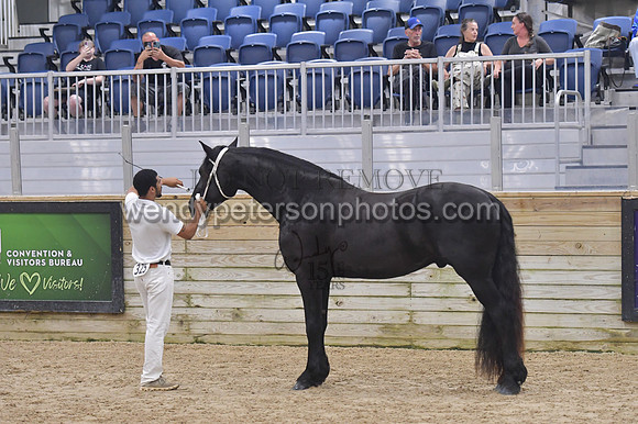 023_6646-Do_not_copy_PROOF