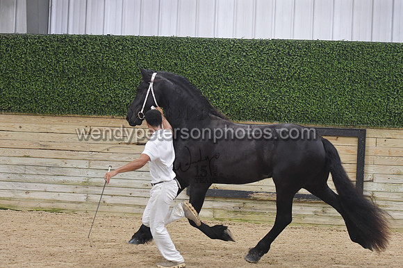 023_6663-Do_not_copy_PROOF