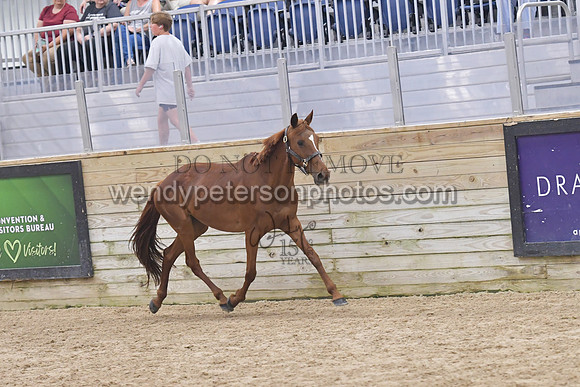 025_6798-Do_not_copy_PROOF