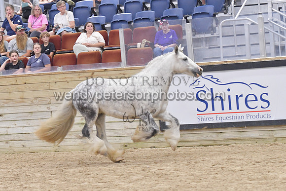 025_6811-Do_not_copy_PROOF