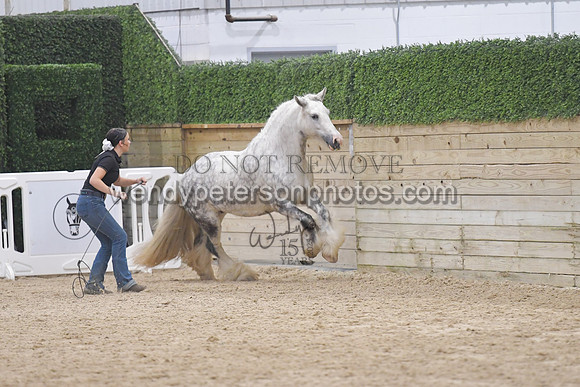 025_6809-Do_not_copy_PROOF