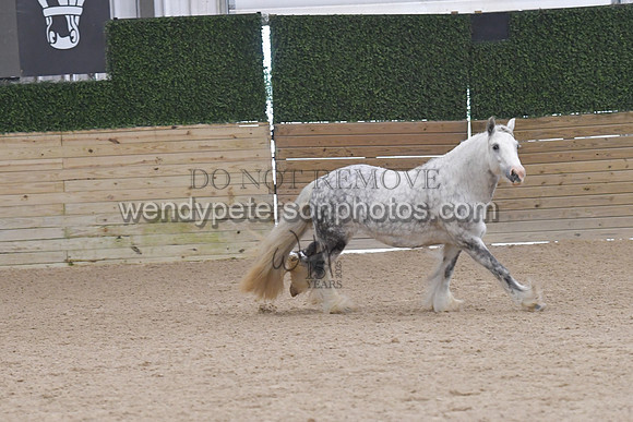 025_6813-Do_not_copy_PROOF