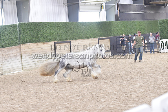 025_6820-Do_not_copy_PROOF