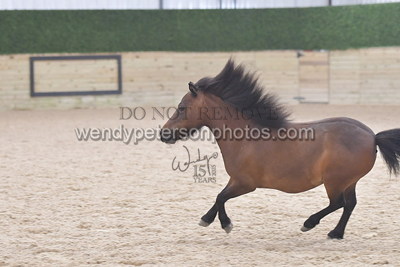 025_6843-Do_not_copy_PROOF