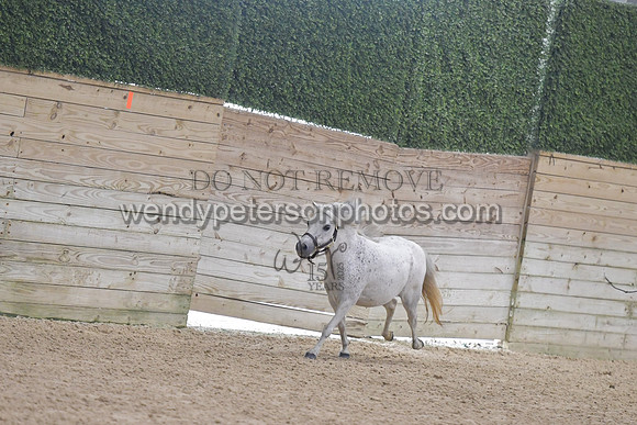 025_6880-Do_not_copy_PROOF