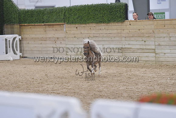 025_6943-Do_not_copy_PROOF