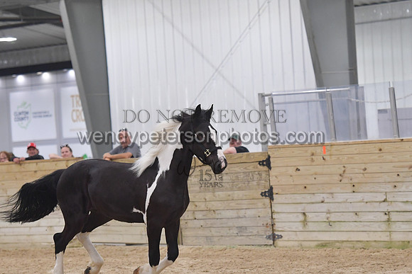 026_7056-Do_not_copy_PROOF