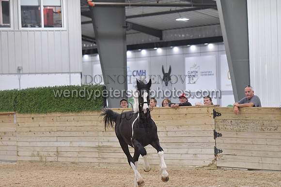 026_7054-Do_not_copy_PROOF