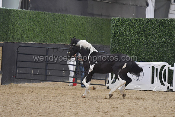 026_7046-Do_not_copy_PROOF