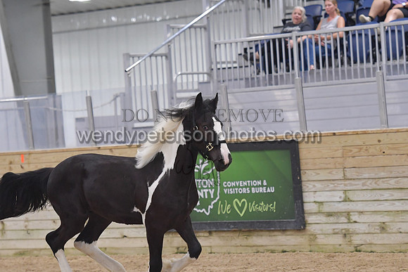 026_7057-Do_not_copy_PROOF