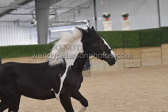 026_7061-Do_not_copy_PROOF