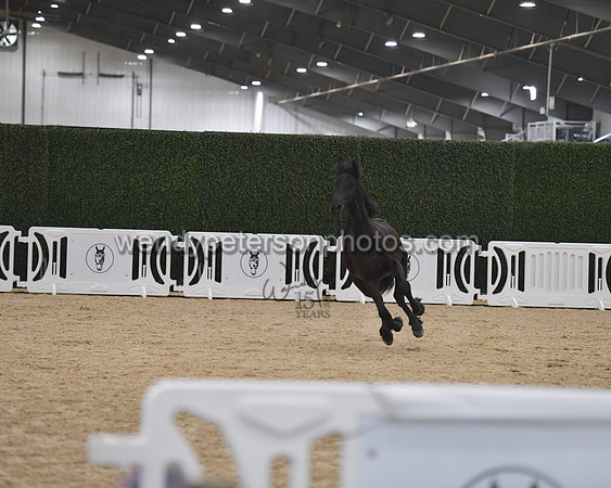 026_7075-Do_not_copy_PROOF